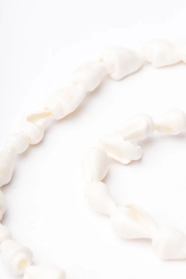Eyewear Chain - Shell - Image 3