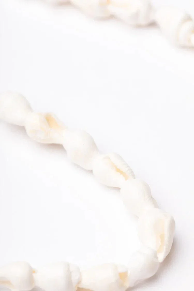 Eyewear Chain - Shell - Image 5