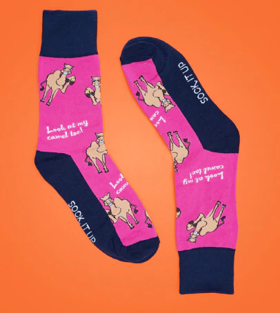 See My Camel Toe*