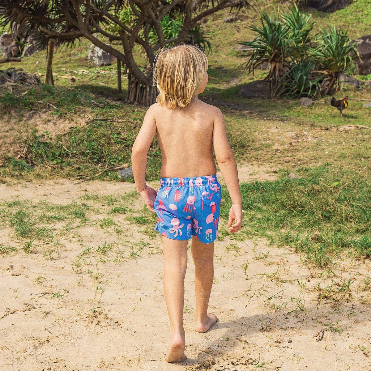 So Jelly Boys Swim Shorts - Royal Blue - Image 3
